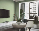 Dimoon 394''x17.3'' Green Skin Peel and Stick Wallpaper Contact Paper Modern Self Adhesive Wall Paper Removable Renter Friendly Textured Solid Color Vinyl Roll (394''x17.3'',Light Green Skin) by GreenHaven Gardens