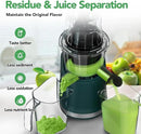 Cold Press Juicer,Aeitto Slow Masticating Juicer with Wide & Dual Feed Chute for Vegetables and Fruits, High Juice Yield, Self Feeding for Juice Extractor, BPA-Free, Dark Green by CozyNest Decor