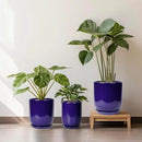 Ceramic Plant Pot - 8 Inch Planter for Indoor Plants Outdoor Flower Pot with Drainage Hole and Saucer Home Patio Office Decor Blue by GreenHaven Gardens