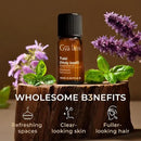 Gya Labs Holy Basil (Tulsi) Essential Oil - 0.34 Fl Oz - 100% Pure Natural Holy Basil Oil for Diffuser & Candle Making Scent by CozyNest Decor