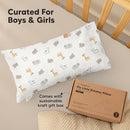 Toddler Pillow with Pillowcase - 10x18 My Little Dreamy Kids Travel Bed Pillows for Sleeping, Organic Cotton Small Pillowcase, Soft & Breathable, Machine Washable, Toddlers 2-5 Years Old (Escapade) by TinyTreasures Baby Boutique