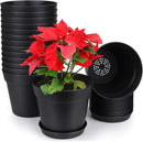 homenote Pots for Plants, 15 Pack 6 Inch Plastic Planters with Multiple Drainage Holes and Tray,Plant Pots for All Home Garden Flowers Succulents (Black) by CozyNest Decor