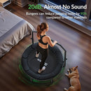 BCAN 40"/48" Mini Rebounder Trampoline for Adults with Bar, 450/550LBS Fitness Trampoline with Bungees, Adjustable Handle, Stable & Quiet, Indoor Outdoor, Whole-Body Workout & Relaxation at Home by TinyTreasures Baby Boutique