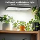 6" Ceiling Grow Lights for Indoor Plants, 84 LEDs Full Spectrum Plant Grow Light with 6/12/16H Timer, 3 Spectrum Modes, 5 Brightness Levels, Under Cabinet Halo Plant Lamp for Small Plants by GreenHaven Gardens