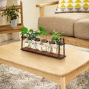 THYGIFTREE Plant Propagation Stations with Wooden Stand, Desktop Retro Plant Terrarium Bulb Vase for Indoor Hydroponic Flowers, Tabletop Glass Planter Housewarming Gifts for Plant Lovers by GreenHaven Gardens