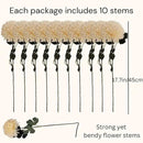 Large Kiku Flower Beige 10 Stems, Silk Flowers Bulk Boho Bouquet, Large Artificial Flowers, Tall Flowers With Long Stems, Realistic faux flowers Neutral Home Decor, Flores Artificiales Para Decoracion by CozyNest Decor