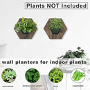 Hexagonal Wooden Wall Planter, Self Watering Living Vertical Planter Indoor, Wooden Frame Planter Wall Decoration Home Office,2pc Walnut by CozyNest Decor