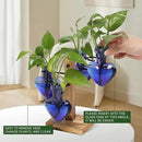 Plants Propagation Stations Plant Terrarium Kit Glass Planters for Indoor Plants House Plant Accessories Gift for Women - 4 Love Vase by GreenHaven Gardens