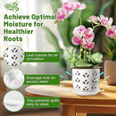 REMIAWY Orchid Pot, 2 Pack Orchid Pots with Drainage Holes and Saucer, 6 Inch and 5 Inch Large Ceramic Planter for Repotting Indoor Plants, Succulent, Decorative, Good Air Circulation, White by GreenHaven Gardens