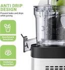 AMZCHEF Cold Press Juicer, Juicer Machines - 3.1" Large Feed Chute for Whole Fruits & Vegetables, Stainless Steel Slow Masticating Juicer Easy to Clean, Large Auger, Double Strainers, Silver by CozyNest Decor