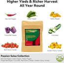 Salsa Garden Seed Pod Kit for AeroGarden, iDoo, Ahopegarden Hydroponic System, 400+ Seeds Includes Red Chili, Green, Yellow, and Purple Bell Pepper, Cucumber, Red/Golden Cherry Tomato (7-Pod) by GreenHaven Gardens