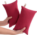 NTBAY Tiny Pillows, Down Alternative 7"x11" Microfiber Mini Pillow for Travel, Pets, Soft Machine Washable Small Pillows for Neck, Wrist, Lumbar and Knee, Red by TinyTreasures Baby Boutique