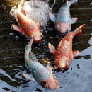 Koi Fish Decor - Set of 2 Antique Koi Fish Garden Statue for Outdoors, Patio and Backyard Decoration by GreenHaven Gardens