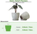 6 Inch Ceramic Planter Pots with Drainage Hole and Saucers for Indoor Plants, Garden Pots for Succulent, Orchid, and Flower - Set of 2 by CozyNest Decor