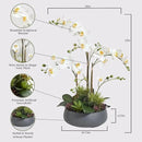 Faux Orchid Plant w/Succulents, Premium Artificial Indoor Flower Display Stands 24” w/Beautiful Sculptural Blooms and Succulents That Lasts Forever, Grey Planter Pot Included by CozyNest Decor