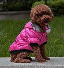Zippered Cotton Padded Clothes For Pets