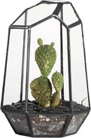 NCYP Small Geometric Terrarium - 4.1" x 3.5" x 5.9" Miniature Irregular Glass Terrarium Planter for Succulent Air Plants - Tabletop Garden Display Container, Black (No Plants, No Door) by CozyNest Decor