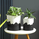 Nihow Self Watering Plant Pot: 8 Inch Ceramic Planter with Drainage Hole & Water Storage Plus for Indoor & Outdoor Plants - Cylinder Round Flower Pot for Succulent/Herbs/Violets - White & Wave Black by CozyNest Decor