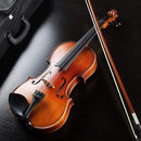 Vangoa 4/4 Violin Full Size Set Spruce Acoustic Violin Fiddle Beginner Kit for Adults Students Kids Teens with Hard Case, Rosin, Shoulder Rest, Bow, Strings, Note Stickers, Mute, Manual, Natural by TinyTreasures Baby Boutique