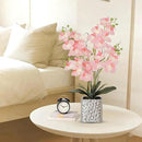 Orchid Artificial Flowers with Sliver Vase Large Silk Faux Phalaenopsis Flowers for Dining Room Table Floral Centerpieces Indoor Decoration,Pink by CozyNest Decor