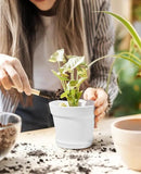 homenote Plant Pots,6/7.5 Inch Flower Pots for Plants Plastic Planters for Indoor with Multiple Drainage Holes and Trays, for All Home Garden Flowers Succulents,Outdoor(White,10 Pack) by CozyNest Decor