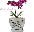 Orchid Pots with Holes Square Ceramic Orchid Planter Pots 5.5 inch (Gray) by GreenHaven Gardens