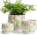 Ceramic Plant Pots with Drainage Holes and Saucers, Round Flower Pots for Indoor Plant, 3.9/5.2/6.7 Inches Small Flower Planters Set of 3 by CozyNest Decor
