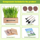 Organic Cat Grass Kit for Indoor Cats - 3 Pack with Cat Grass Seeds, Nutrient Soil & Planter Pots | Complete Growing Set for Fresh Pet Grass (Non-GMO Wheat Grass) by GreenHaven Gardens