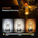 Portable Metal Table Lamp for Indoor/Outdoor ,Rechargeable Cordless LED Lamp, 3-Colour Infinitely Dimming Battery Powered Small Desk Lamp, Restaurant/Bedroom/Bar/Coffee/Camping Light (Grey Set of 2) by CozyNest Decor