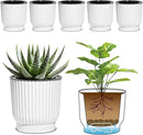 T4U 4 Inch Self Watering Pots for Indoor Plants, 6 Pack White Plastic Flower Pots for All House Plants, Flowers, African Violets by GreenHaven Gardens