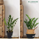 Basket Planter – Woven Seagrass Plant Pot for Tall Indoor Artificial Plants, Wicker Rattan Planters for Boho Decor 9-10 Inches (Black Bottom, Large) by GreenHaven Gardens