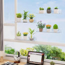 Lifewit Window Plant Floating Shelves 15 inch, 3 Pack Acrylic Suction Cup Shelf, Window Sill Extender for Indoor Succulent Plants, Micro Greens, Seed Starter Pots, Herb Planters by GreenHaven Gardens