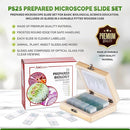 AmScope PS25W Prepared Microscope Slide Set for Basic Biological Science Education, 25 Slides, Includes Fitted Wooden Case by TinyTreasures Baby Boutique