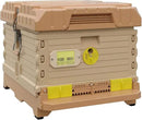 Ergo Insulated 10 Frame Bee Hive Set [NO Frames Included] (Single Hive, Tan Body Yellow Entrance) by GreenHaven Gardens