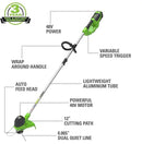 Greenworks 40V 12" Cordless String Trimmer, 2.0Ah Battery and Charger Included by GreenHaven Gardens