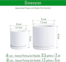 D'vine Dev 6 Inch & 8 Inch Ceramic Planter Pots for Plants with Drainage Hole and Saucer, Medium Plant Pots Set, White, 94-G-M-1 by GreenHaven Gardens