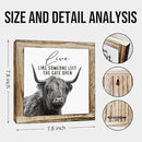 Funny Wood Sign, Cow Decor, Wooden Plaques Sign Table Decoration, Farmhouse Decorate for Shelf, Country Style Home Decor, Inspirational Decorate Signs, Live Like Someone Left the Gate Open Signs by CozyNest Decor