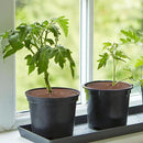 6 Pcs Plant Pot Grid Cover Protectors from Animals- Diameter 11.8" Cuttable Flower Pot Cover with 48 Stakes, Keep Cats Out of Potted Plants, Cat Digging Stopper Baby Safety Soil Cover for Indoor by GreenHaven Gardens