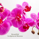 Faux Pink Orchid Plant, Premium Artificial Indoor Flower Display Stands 25-Inches with Beautiful Sculptural Blooms and Foliage That Lasts Forever, Grey Planter Pot Included by CozyNest Decor