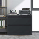 Lateral File Cabinet, Heavy Duty Filing Holds Letter/Legal/A4 Files