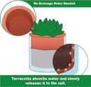 Phoenix Vine 4 Inch Self Watering Plants Pot, Design Terracotta Pot for Plants, Indoor Cylinder Terra Cotta Planter with Glass Vase, Set of 2, 51-A-E-2 by GreenHaven Gardens