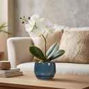 G EPGardening Ceramic Pots for Plants - 4 inch Plant Pots for Indoor Outdoor, Small Planter with Drainage Hole & Tray, Modern Succulent Pots, Round Planter, Office Decor, Home Gifts, Retro Blue by GreenHaven Gardens