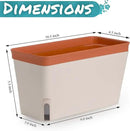 Amazing Creation Window Herb Planter Box, Vibrant Window Herb Garden, Self-Watering Rectangular Planter for Kitchen, Plants, and Succulents - Set of 3 by GreenHaven Gardens