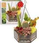 Deco Glass Geometric DIY Terrarium, Succulent & Air Plant- Hanging Mini Hexagon Shaped for Indoor Gardening Decor- Create Your own Flower, Fern, Moss Centerpiece- Amazing Holiday and Wedding Gift by GreenHaven Gardens
