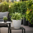 8 Inch Ceramic Pots for Plants Large Planter Pot with Drainage Hole and Saucer Round Flower Pot for Indoor Outdoor Decor, White by CozyNest Decor