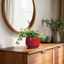 G EPGardening Ceramic Pots for Plants - 4 inch Succulent Pots Indoor Outdoor, Small Planter with Drainage Hole & Tray, Modern Flower Pot, Decorative Round Planter, Living Room Decor, Home Gifts, Red by GreenHaven Gardens