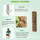 EOX 4 Pcs 15 Inch Plastic Moss Pole for Plants Monstera Set with 150g Sphagnum Moss, Plant Poles for Climbing Plants, Plant Support for Indoor Plants, Garden Ties by GreenHaven Gardens