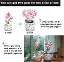 KERUITA Orchid Pots with Holes,6 inch + 5 inch Ceramic Planters Set of 2 with 2 Bottom Tray, Enhanced Drainage and Ventilation,White Flower Pots for Indoor/Outdoor Plants for Repotting by GreenHaven Gardens