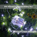Homemory 4 Pack 20 Ft 60 LED Fairy Lights Battery Operated String Lights with Remote Waterproof 8 Modes Firefly Twinkle Christmas Lights for Party Bedroom Wedding Decorations(Cool White) by GreenHaven Gardens