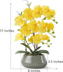 Orchid Artificial Flowers with Gray Vase Large Silk Faux Phalaenopsis Flowers for Dining Room Table Floral Centerpieces Indoor Decoration,Yellow by CozyNest Decor
